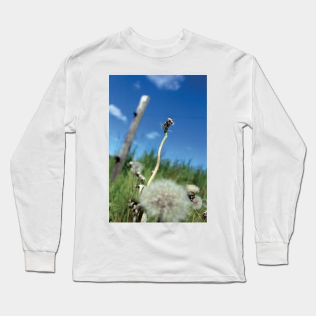 Bottom view II Long Sleeve T-Shirt by mptresart